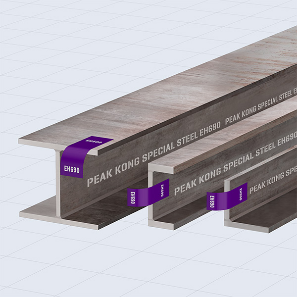 American Standard Marine Engineering Steel Structure Profiles