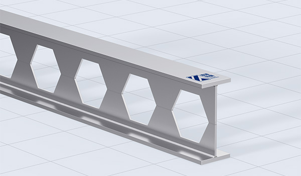 Castellated and cellular beams